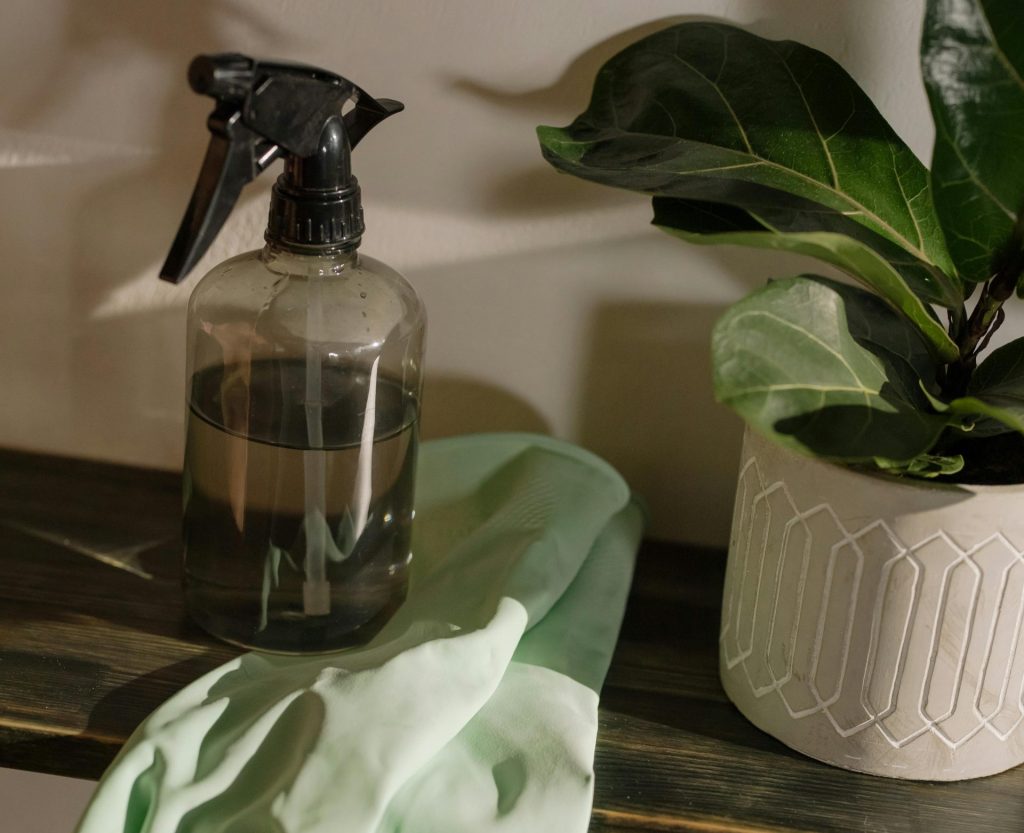 A stylish cleaning setup featuring green gloves, a spray bottle, and a potted plant.