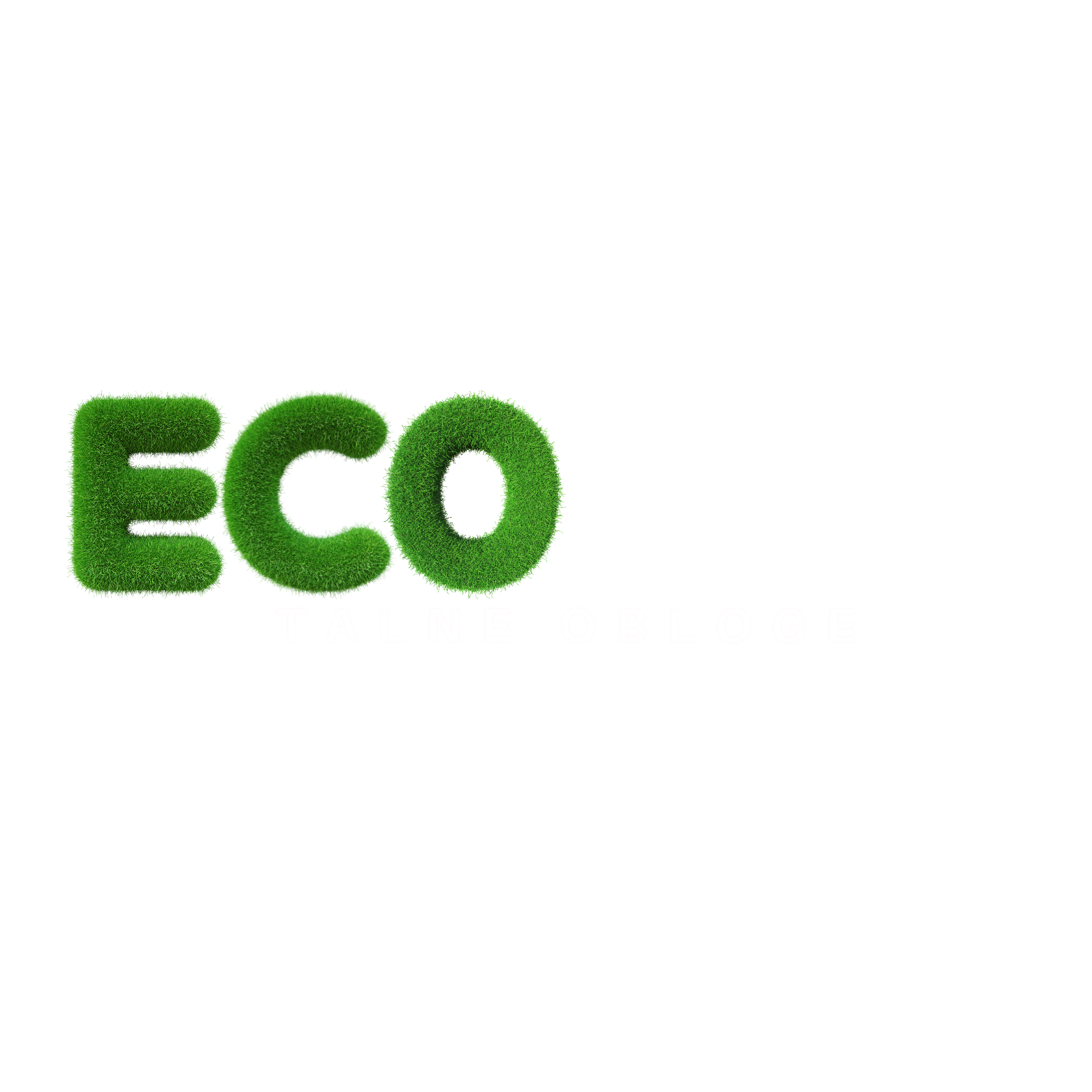 Eco Wood logo